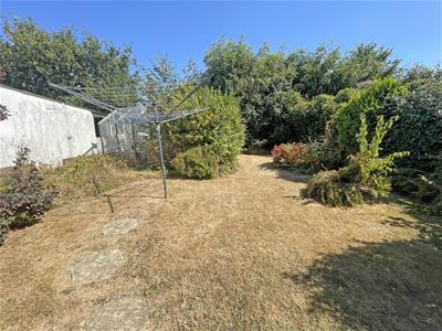 Picture 15